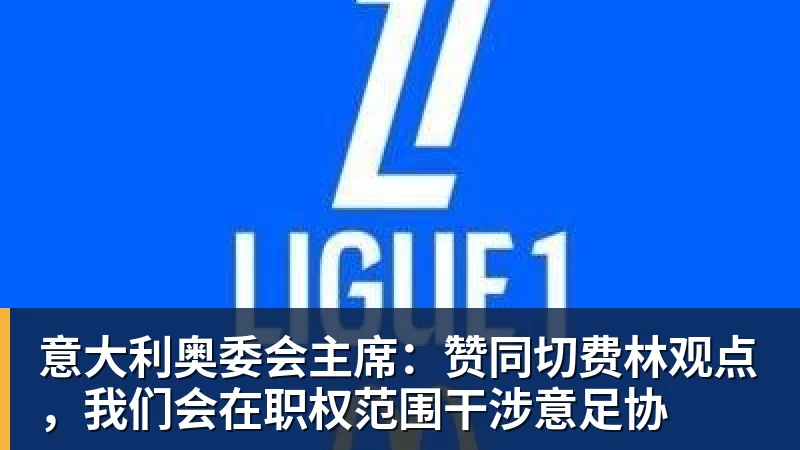 意大利奥委会主席：赞同切费林观点，我们会在职权范围干涉意足协