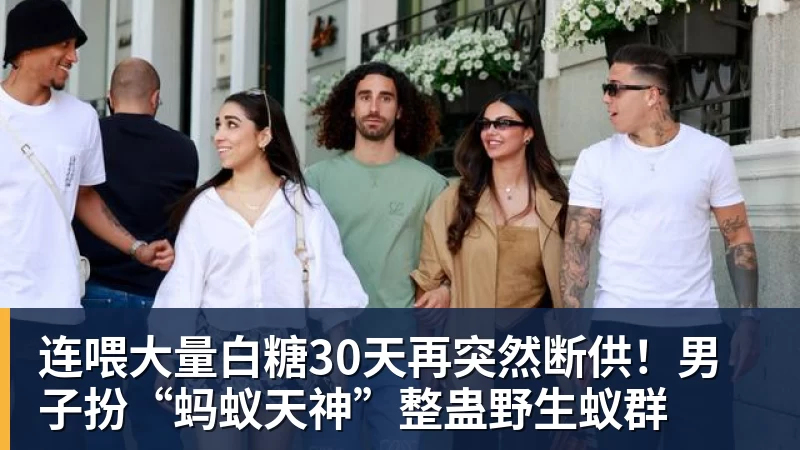 连喂大量白糖30天再突然断供！男子扮“蚂蚁天神”整蛊野生蚁群